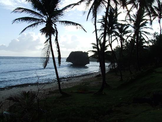 Atlantis Hotel Barbados Tripadvisor