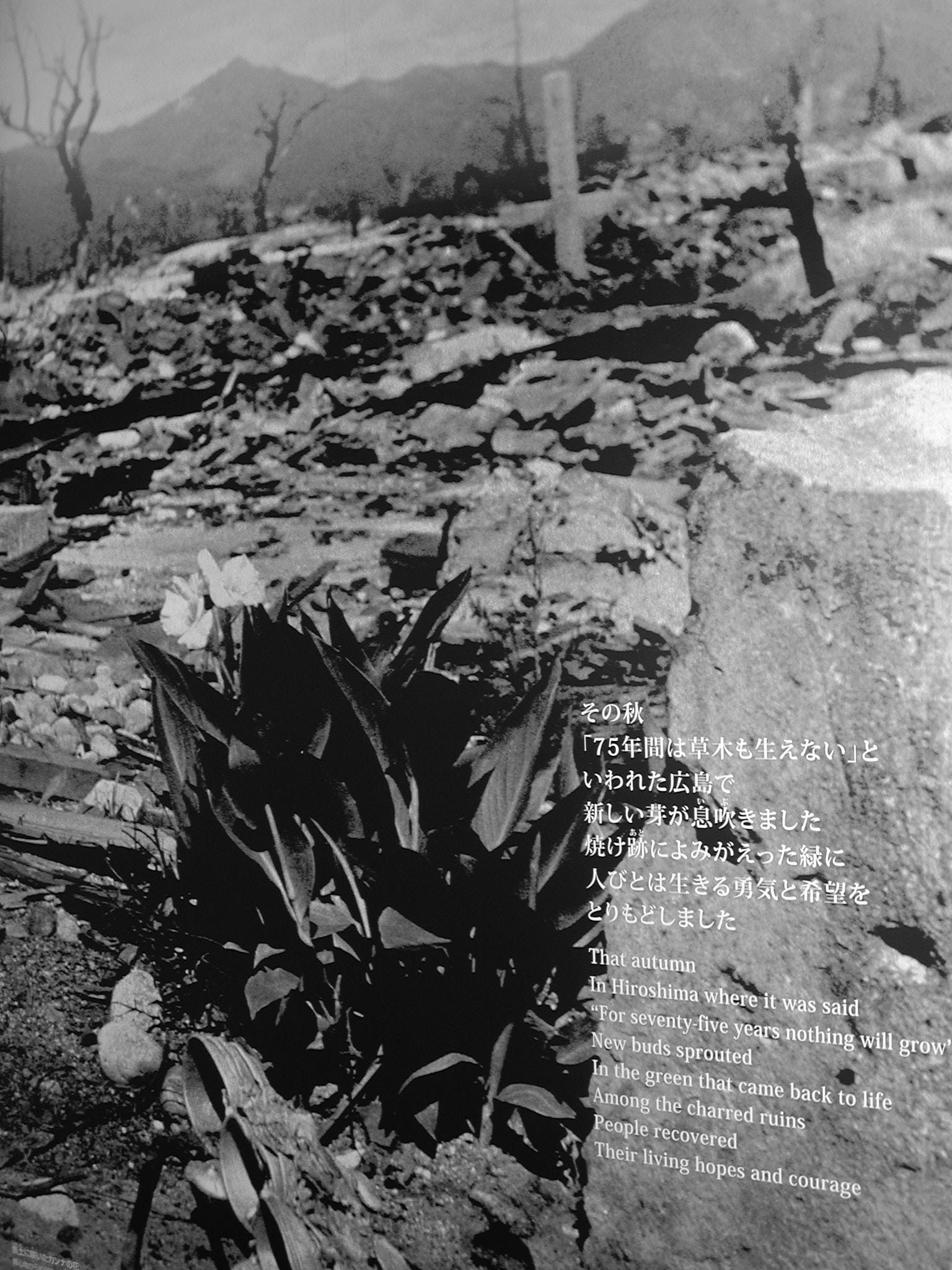 Atomic Bomb Hiroshima