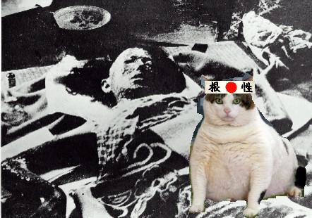 Atomic Bomb Hiroshima And Nagasaki Facts