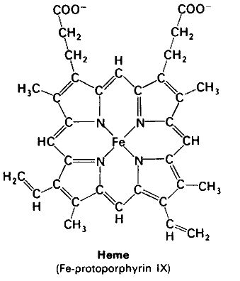 Atomic Structure Of Iron