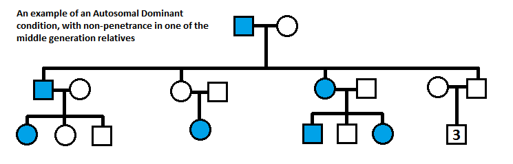 Autosomal Dominant Disorders Punnett Square