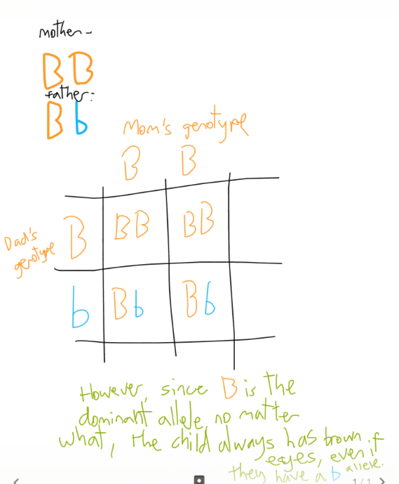 Autosomal Dominant Disorders Punnett Square
