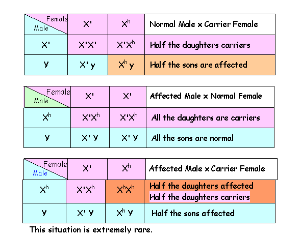Autosomal Dominant Disorders Punnett Square