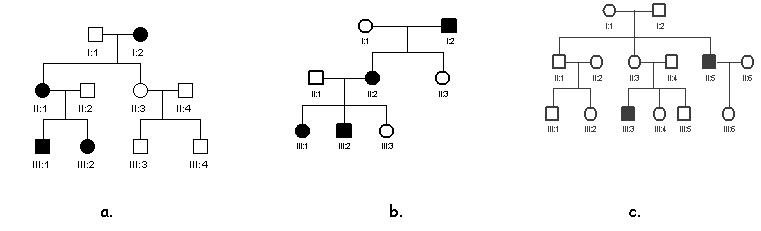 Autosomal Dominant Inheritance Is Shown By All But Which Of The Following