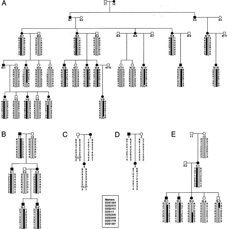 Autosomal Dominant Inheritance Is Shown By All But Which Of The Following
