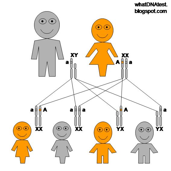 Autosomal Dominant Inheritance Pattern