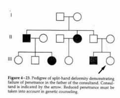 Autosomal Dominant Traits Appear In Equal Frequency In Males And Females
