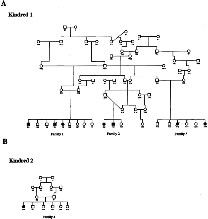 Autosomal Recessive Inheritance Consanguinity