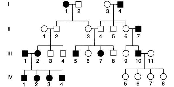 Autosomal Recessive Inheritance Pedigree