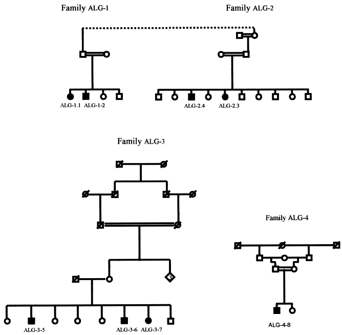 Autosomal Recessive Inheritance Pedigree