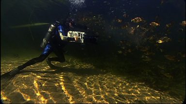 Bbc Planet Earth Wallpaper