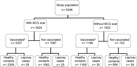 Bcg Vaccine Scar Infection