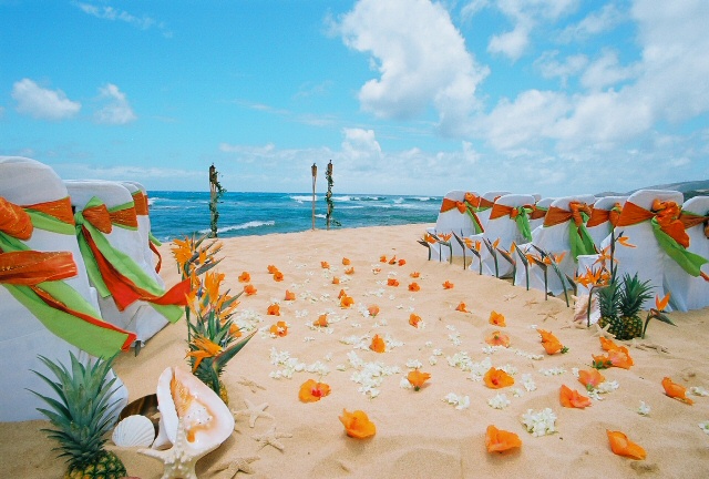 Beach Wedding Ceremony Ideas