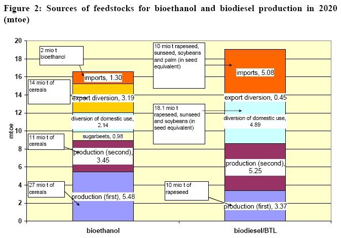 Biodiesel Feedstock