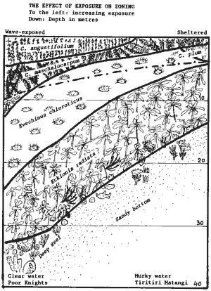 Biological Weathering Diagram