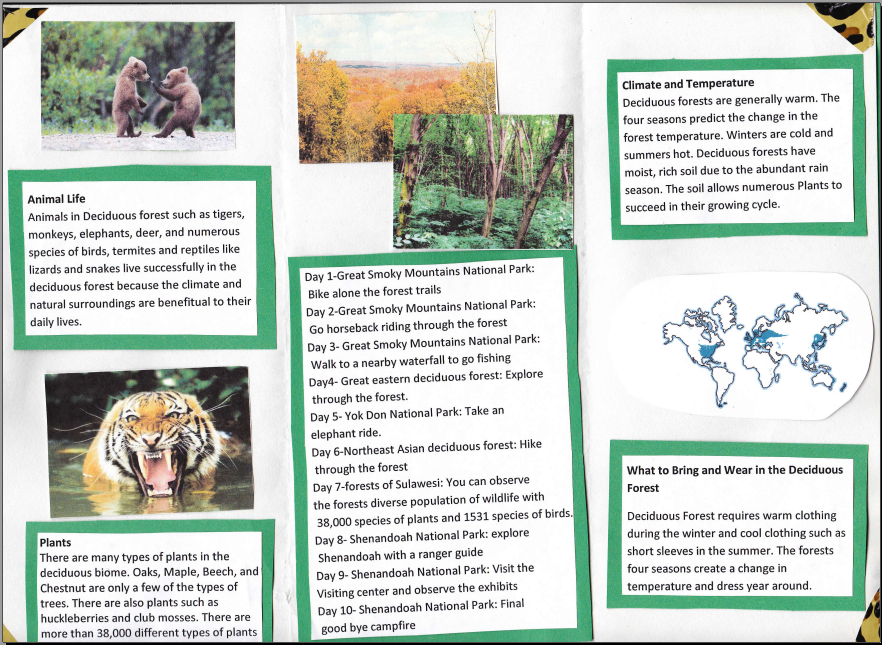 Biome Travel Brochure Project Example