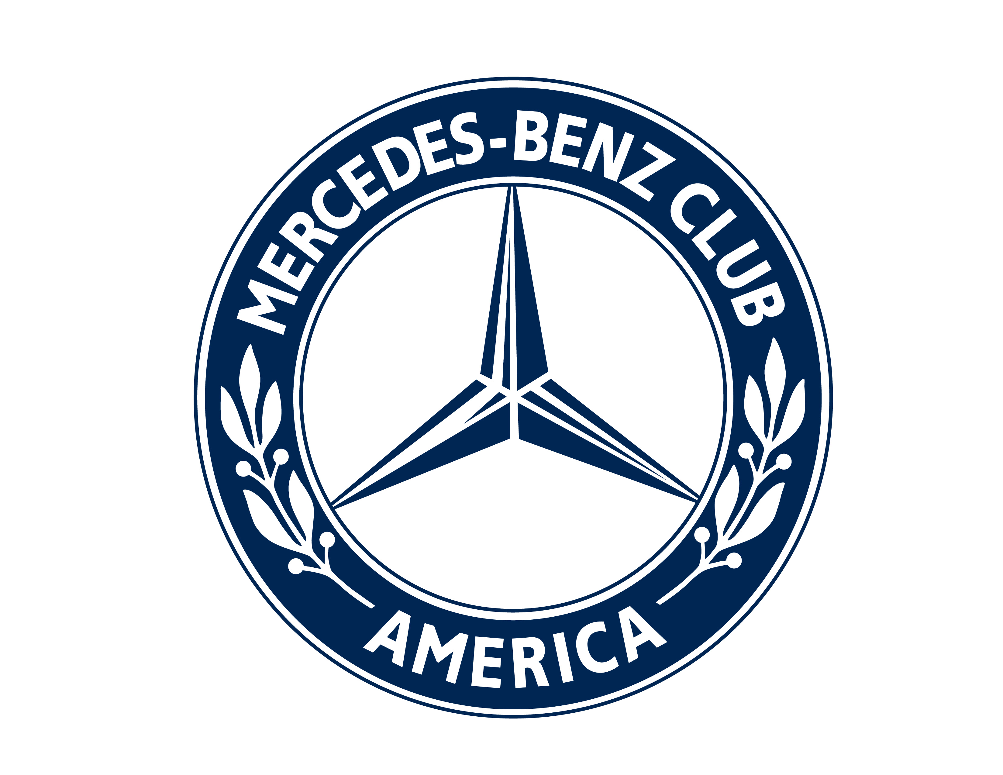 Blue Phoenix Logo