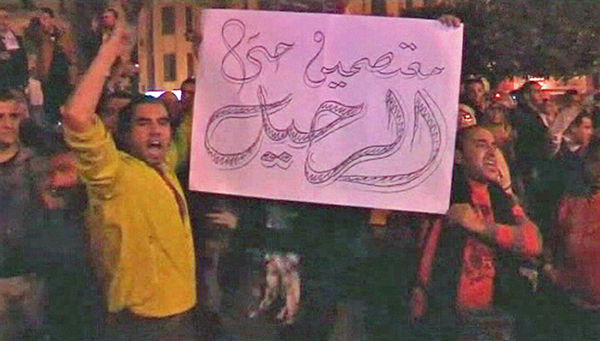 Braces Price In Egypt