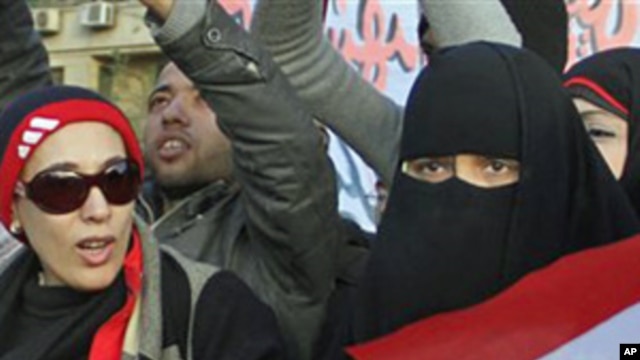 Braces Price In Egypt