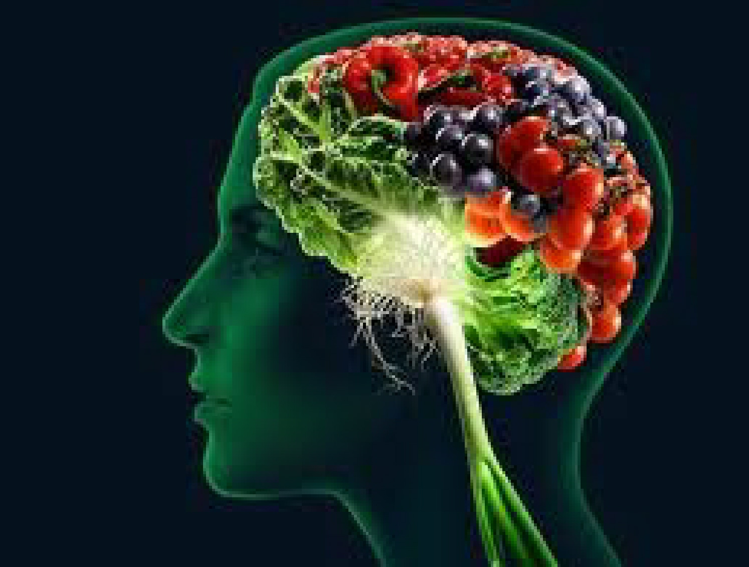 Brain