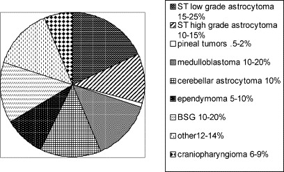 Brain Stem Glioma Prognosis