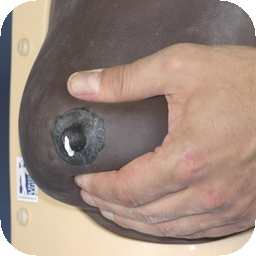 Breast Milk Pumping By Hand