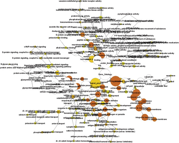 Categories Of Classification Biology