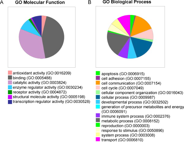 Categories Of Classification Biology