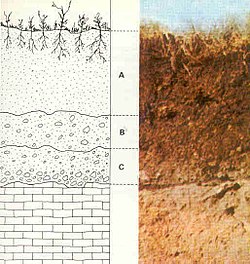 Chemical Weathering Of Rocks Diagram