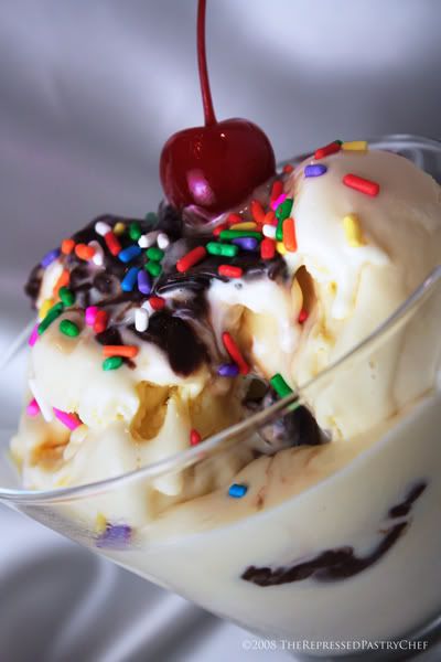 Chocolate Ice Cream With Sprinkles