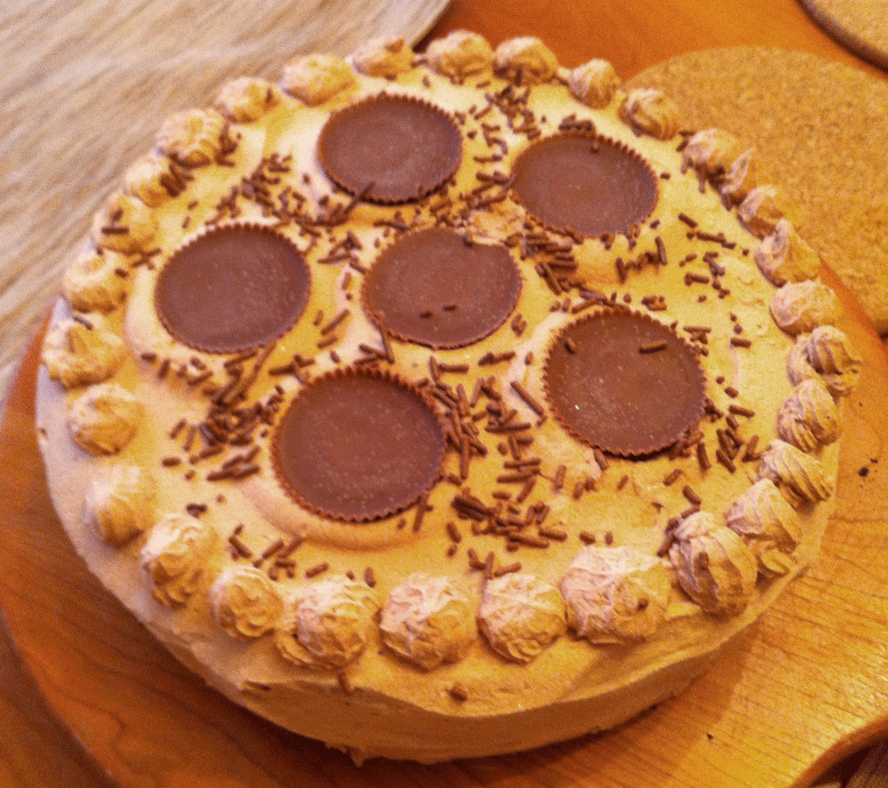 Chocolate Ice Cream With Sprinkles