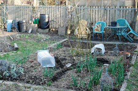 Community Garden Design Plans