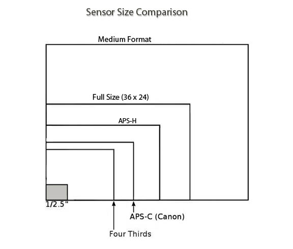 Compact Camera Sensor Size Comparison