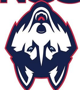 Connecticut Huskies Logo