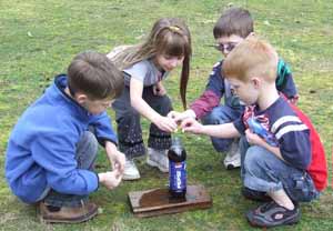 Cool Science Experiments For Kids Easy