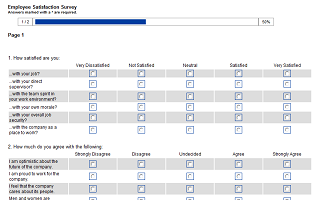 Customers Satisfaction Questionnaire