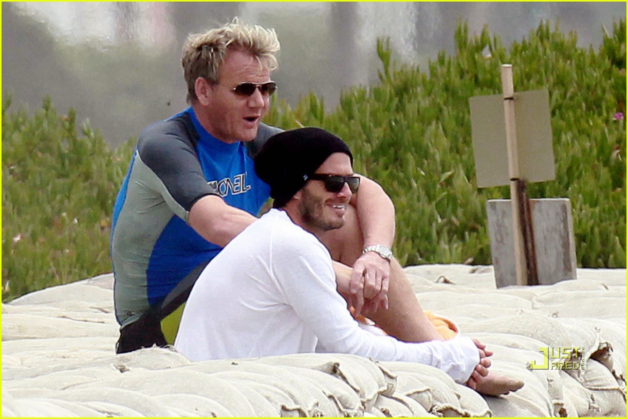 David Beckham Tattoos Harper