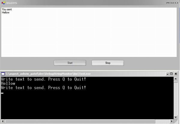 Debug Monitor In System Programming