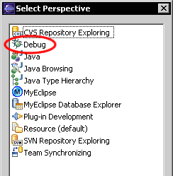 Debugger Icon