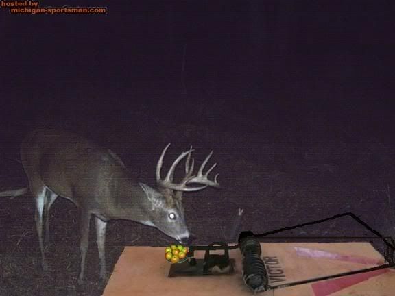 Deer Hunting Rifles For Sale