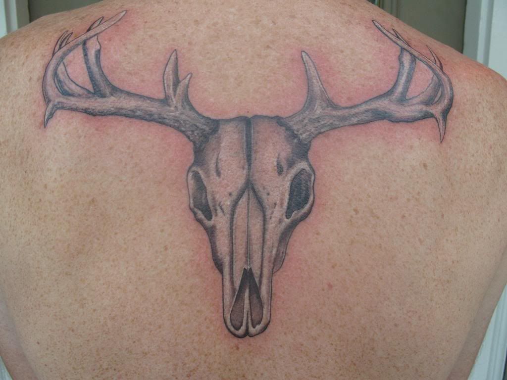 Deer Skull Tattoo Pics