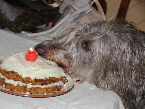 Deerhound