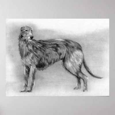 Deerhound Dog