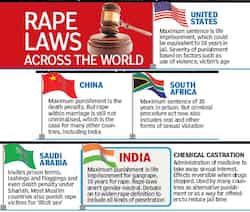 Delhi Gang Rape Victim Images