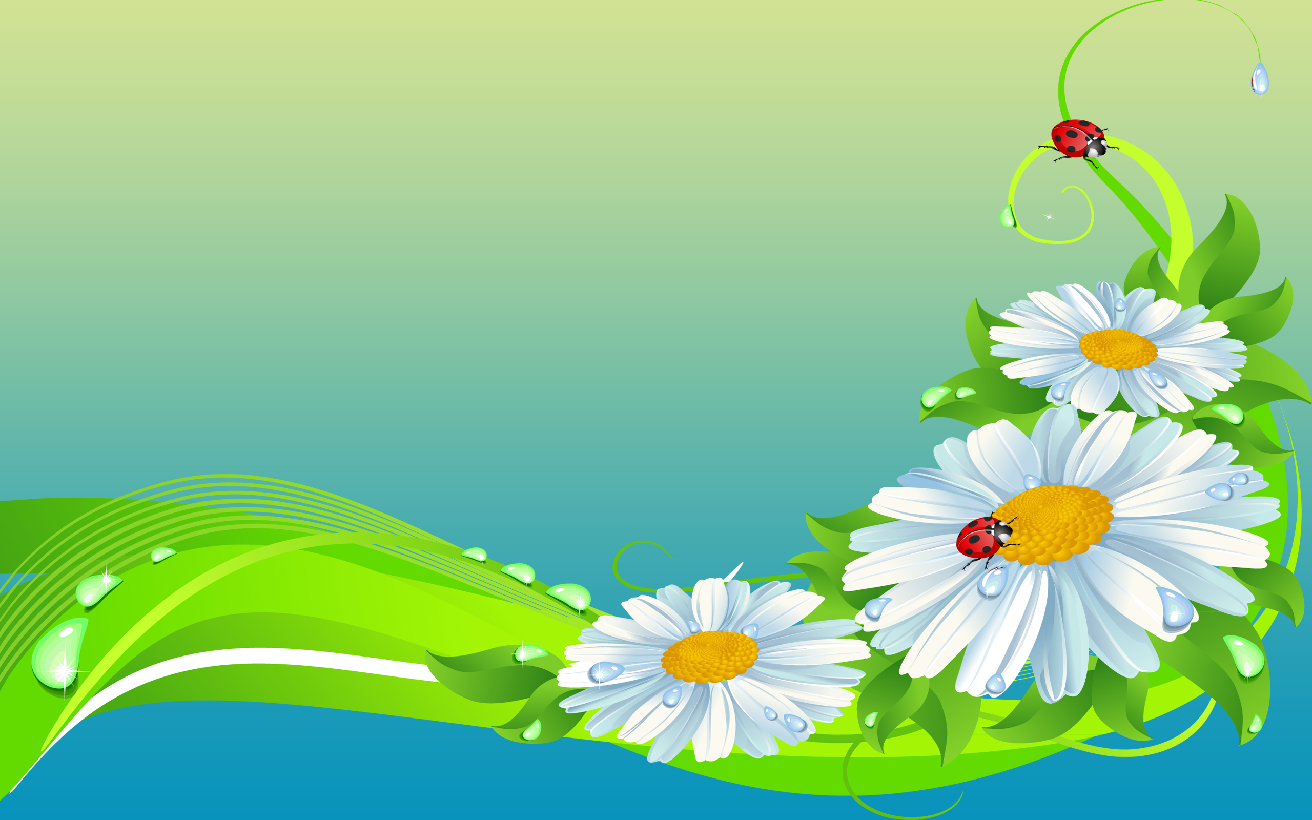 Desktop Wallpaper Flowers