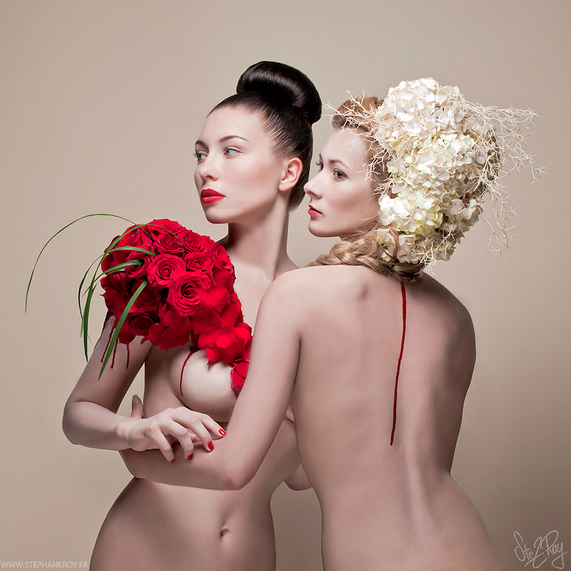 Deviantart Photography Flowers