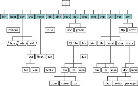 Directory Structure In Linux