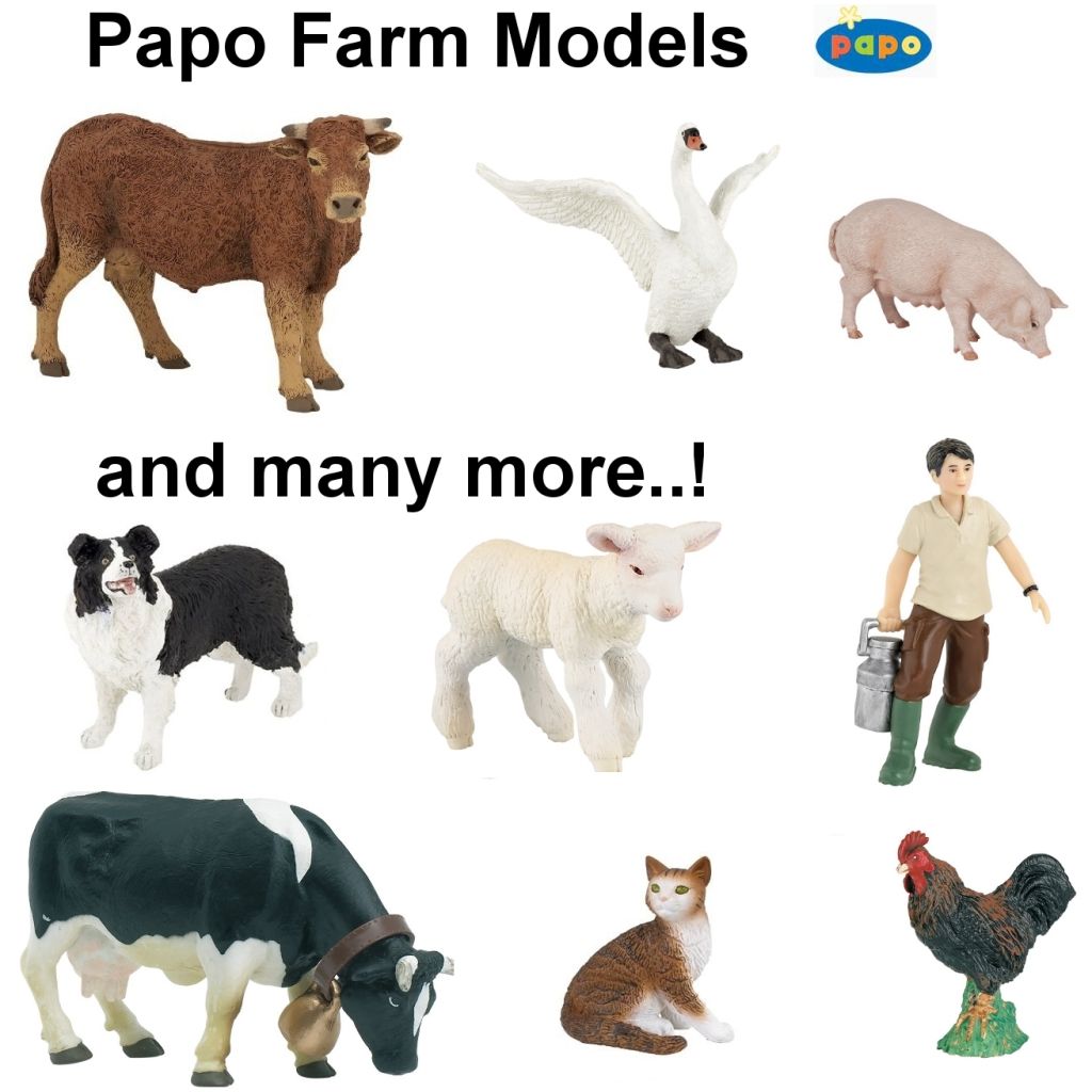 Domestic Animals Pictures With Names For Kids