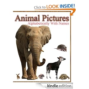 Domestic Animals Pictures With Names For Kids