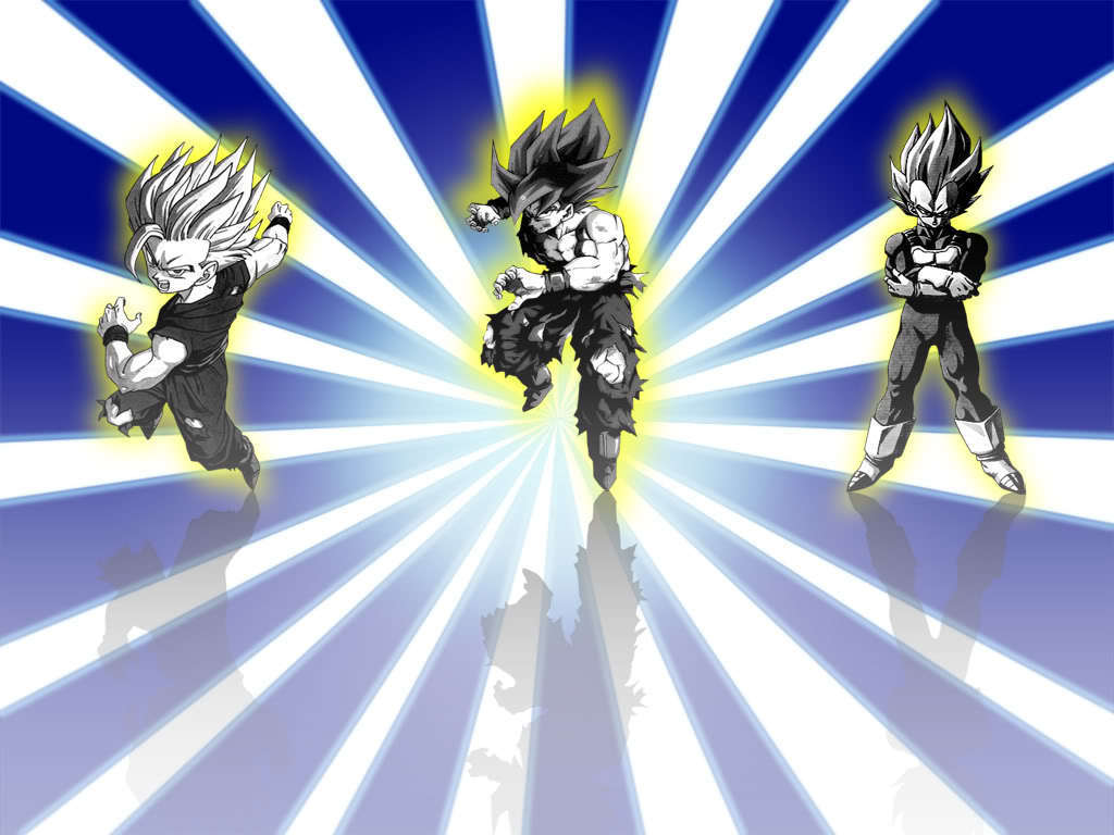 Dragon Ball Z Wallpapers Goku And Vegeta